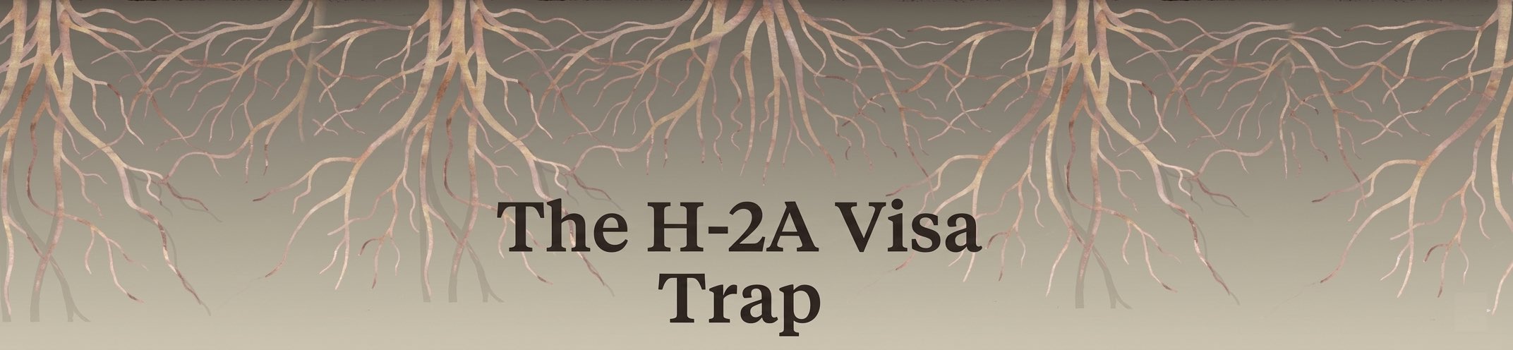 The H-2A Visa Trap — illustration of roots descending from above, from ProPublica's investigation of Operation Blooming Onion